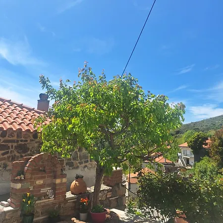 בית נופש Traditional House In Kampia